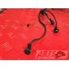 Faisceau électrique principale avec alarme Kawasaki ZR-7 1999 à 2004ZR7994878XS17B3-F1343591used