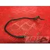 Cable de masse Kawasaki ZR-7 1999 à 2004ZR7994878XS17B3-F1343592used