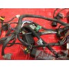 Faisceau électrique RSV4 R 2009 à 2011STREET67513CT-720-PZH2-C6343941used