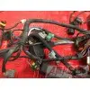 Faisceau électrique RSV4 R 2009 à 2011STREET67513CT-720-PZH2-C6343941used