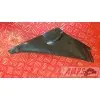 Cache plastique R1 00 01