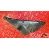 Cache plastique R1 00 01