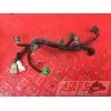 Faiscseau d'injection YAMAHA FZ6 600 FAZER S2 2007 - 2010FZ607CA-343-ALB4-F2344654used