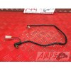 Cable de masse Yamaha 1000 FZS 2001 à 2005FZS100003EN-968-RF-B4-E3344960used