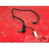 Cable de masse Yamaha 1000 FZS 2001 à 2005FZS100003EN-968-RF-B4-E3344960used