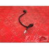 Cable de sonde MAP Yamaha 1000 FZS 2001 à 2005FZS100003EN-968-RF-B4-E3344958used