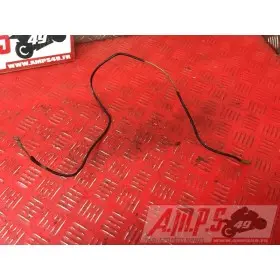 Cable capteur de pression d'huileGSXR60098DA-858-RM-B2-D1345107used