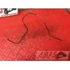 Cable capteur de pression d'huileGSXR60098DA-858-RM-B2-D1345107used