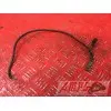 Cable de masseGSXR60098DA-858-RM-B2-D1345104used