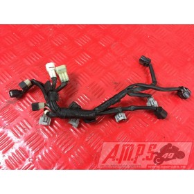 Faisceau d'injection Yamaha XJ6 2009 à 2016