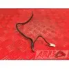 Cable de masse Yamaha YZF R1 2002 à 2003R102BB-293-SZ345634used