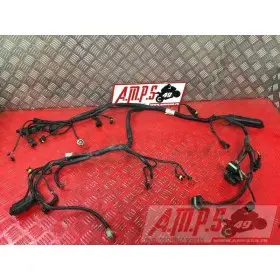 Faisceau électrique principaleST2S01CM-630-EBH3-A7345722used