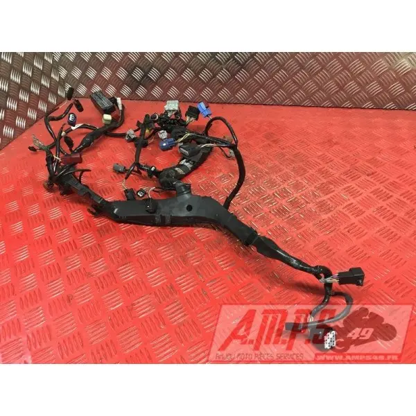 Faisceau électrique principale Honda 1000 CBR 2008 à 2011CBR100008BJ-051-QMB5-E3346070used