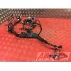 Faisceau électrique principale Honda 1000 CBR 2008 à 2011CBR100008BJ-051-QMB5-E3346070used