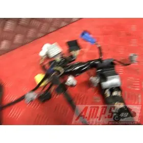 Faisceau électrique principale Honda 1000 CBR 2008 à 2011CBR100008BJ-051-QMB5-E3346070used