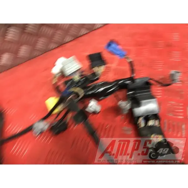 Faisceau électrique principale Honda 1000 CBR 2008 à 2011CBR100008BJ-051-QMB5-E3346070used