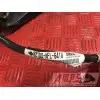 Faisceau électrique principale Honda 1000 CBR 2008 à 2011CBR100008BJ-051-QMB5-E3346070used