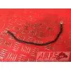 Cable de masseF367513CY-008-LWH5-F0346272used