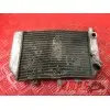 Radiateur d'huile Suzuki TLR 1000 1998 à 2003