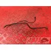 Cable de masse Suzuki TLR 1000 1998 à 2003