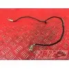 Cable de masseCBF65015DV-466-YGB5-E0347228used
