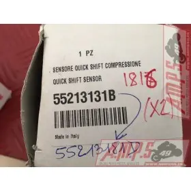 55213181DLOTAYAM350350new