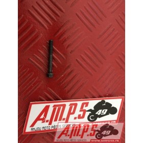 95027-06045 BOULON CARTER MOTEUR 1 GRIZZLI/RAPTOR/WARRIOR (1995-2005)- pièce moto occasion