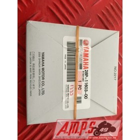 Segment GRIZZLY YFM 550 09-15 28P-11603-00- pièce moto occasion