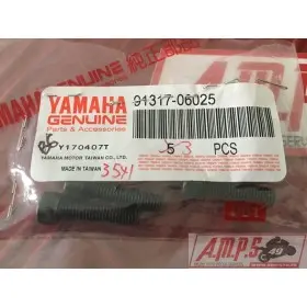 91317-06025LOTAYAM350999new