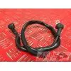 Cable de masse Yamaha 600 FZS 1998 à 2001FZS60000AV-528-WHB4-F4351182used