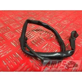 Cable de masse Yamaha 600 FZS 1998 à 2001FZS60000AV-528-WHB4-F4351182used