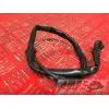Cable de masse Yamaha 600 FZS 1998 à 2001FZS60000AV-528-WHB4-F4351182used