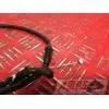 Cable de starter Yamaha 600 FZS 1998 à 2001FZS60000AV-528-WHB4-F4351274used