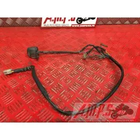 Faisceau eclairage arriere125CLASSIC979347-XJ-49H4-A735182used