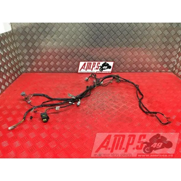 Faisceau électrique principale125CLASSIC979347-XJ-49H4-A735182used