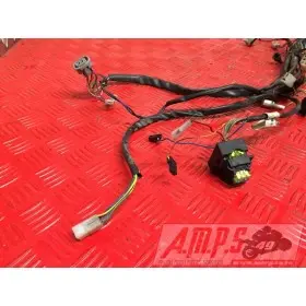 Faisceau électrique principale125CLASSIC979347-XJ-49H4-A735182used