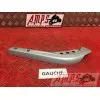 Cache plastique arriere gauche125CLASSIC979347-XJ-49H4-A735180used