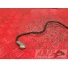 Cable de masseZX6R99-CJ-907-ZEB3-A1351955used