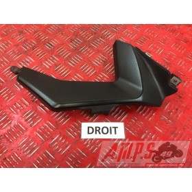 Plastique droitSHIVER75007BM-868-ZLH4-F2352103used