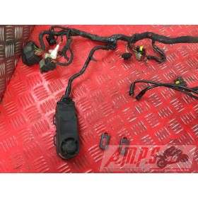 Faisceau électrique principaleSHIVER75007BM-868-ZLH4-F2352136used
