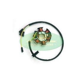 Stator TOP PERFORMANCES DERBI 50 GPR / SENDA R/DRD/SM-APRILIA 50RS/RS4/SX