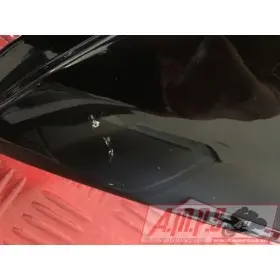 37P-F1731-00-PHLOTAYAM353260new