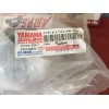 37P-F1731-00-PHLOTAYAM353260new