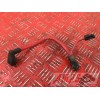 Cable de batterieDIVERSION60001291YE25B4-A5354414used