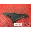 Cache plastique gaucheDIVERSION60001291YE25B4-A5354401used