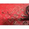 Cable d'accélérateurTDM850FA591KQB4-F3354657used