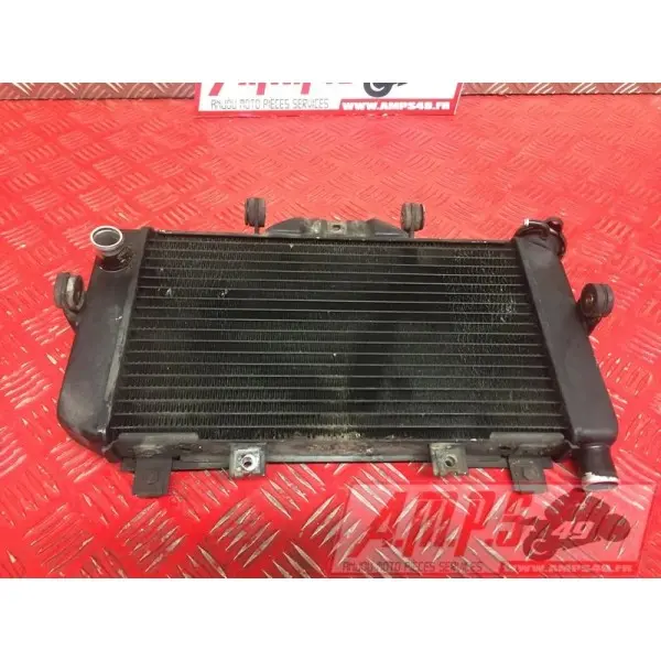 Radiateur d'eauTDM850FA591KQB4-F3354617used