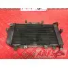 Radiateur d'eauTDM850FA591KQB4-F3354617used