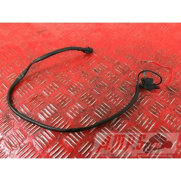 Cable porte fusibleF367513CY-819-QZH5-G1354840used