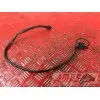 Cable porte fusibleF367513CY-819-QZH5-G1354840used